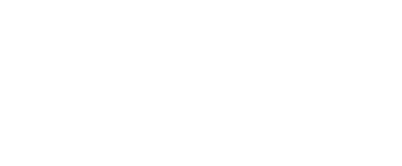 Merito